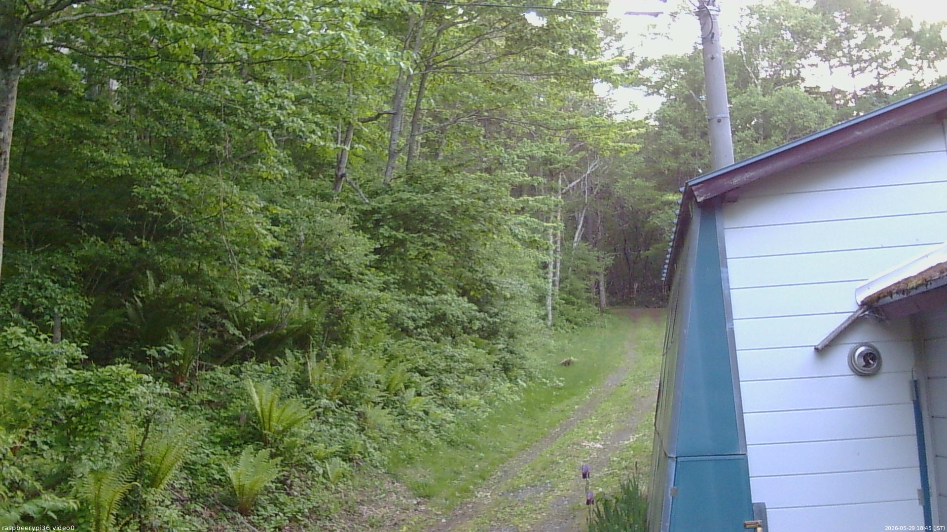 長野県菅平高原 ゆたか山荘 ゆたか山荘 2026/05/29 18:45
