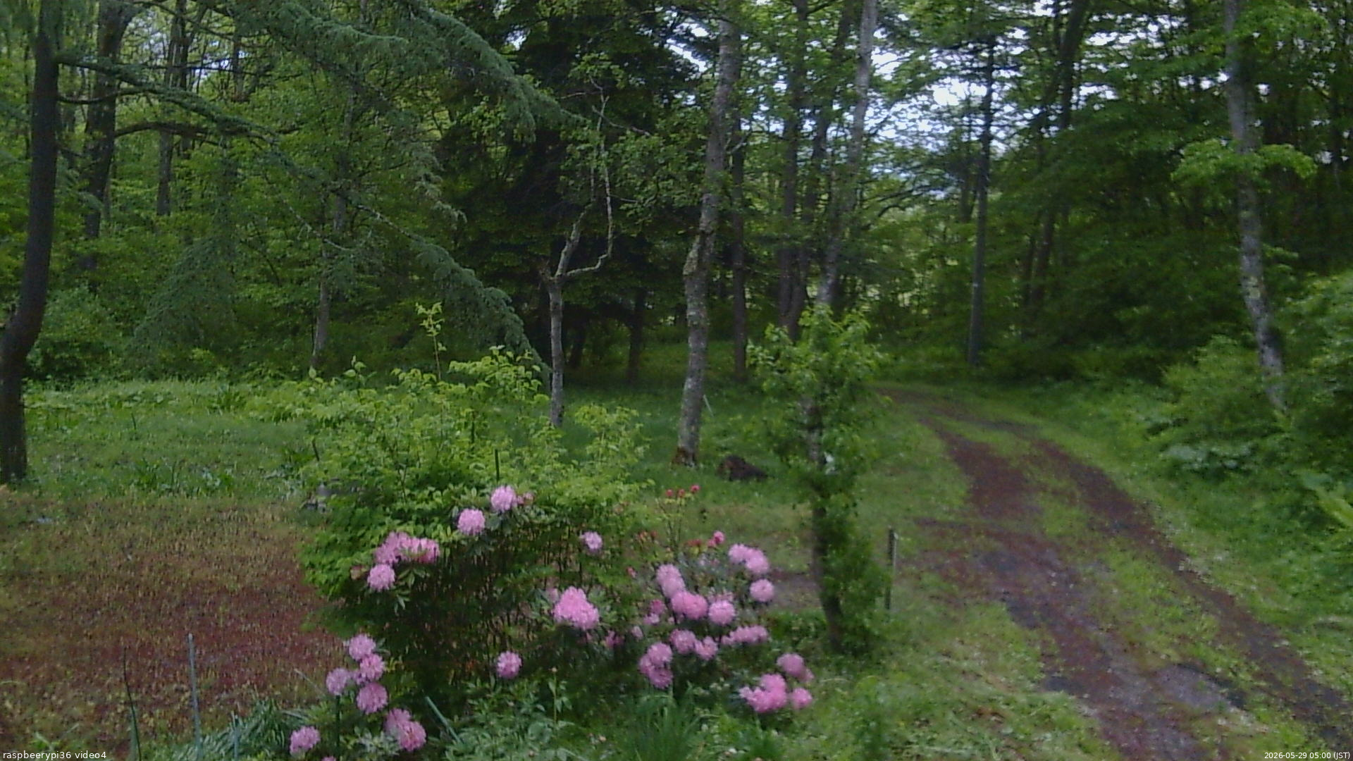 長野県菅平高原 ゆたか山荘 坂上 2026/05/29 05:00