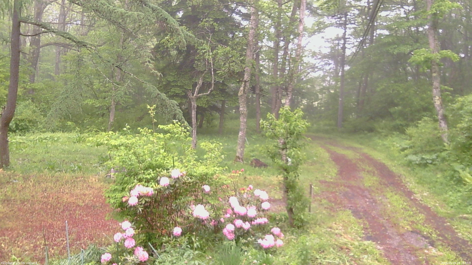 長野県菅平高原 ゆたか山荘 坂上 2026/05/29 05:15