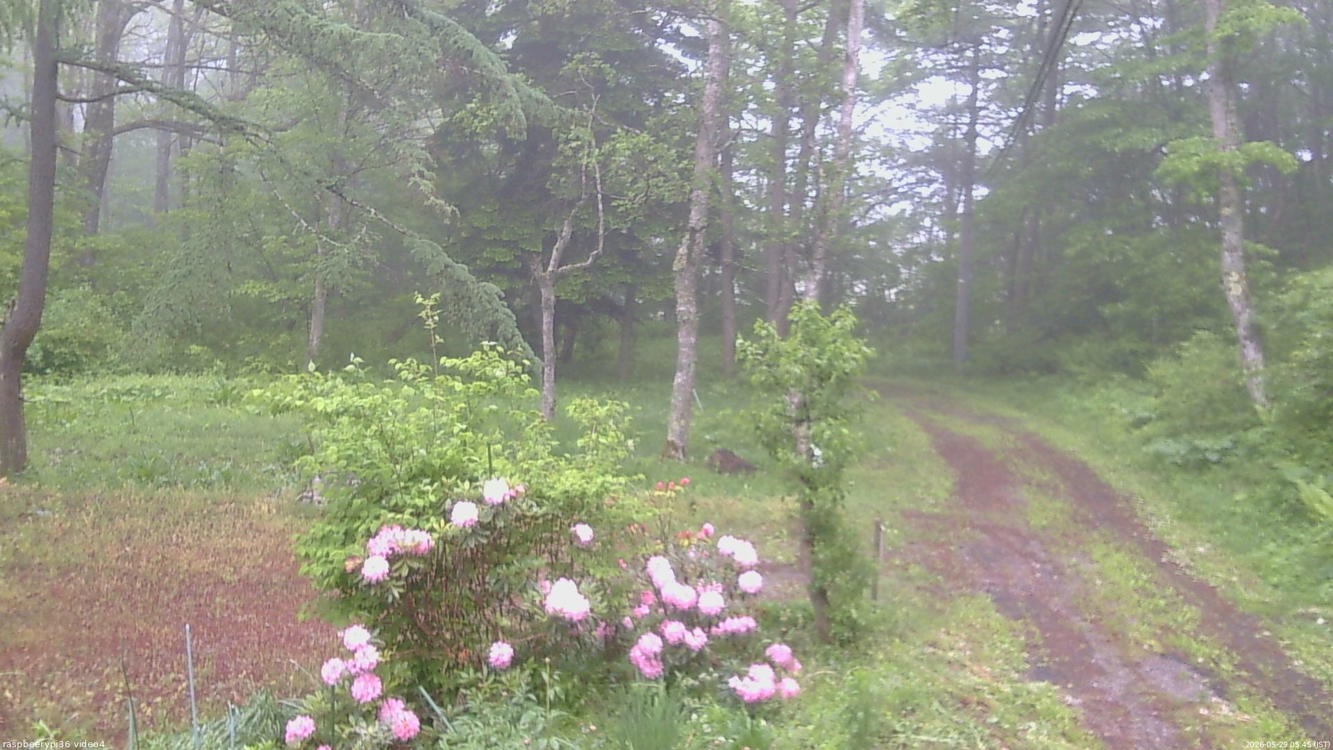 長野県菅平高原 ゆたか山荘 坂上 2026/05/29 05:45
