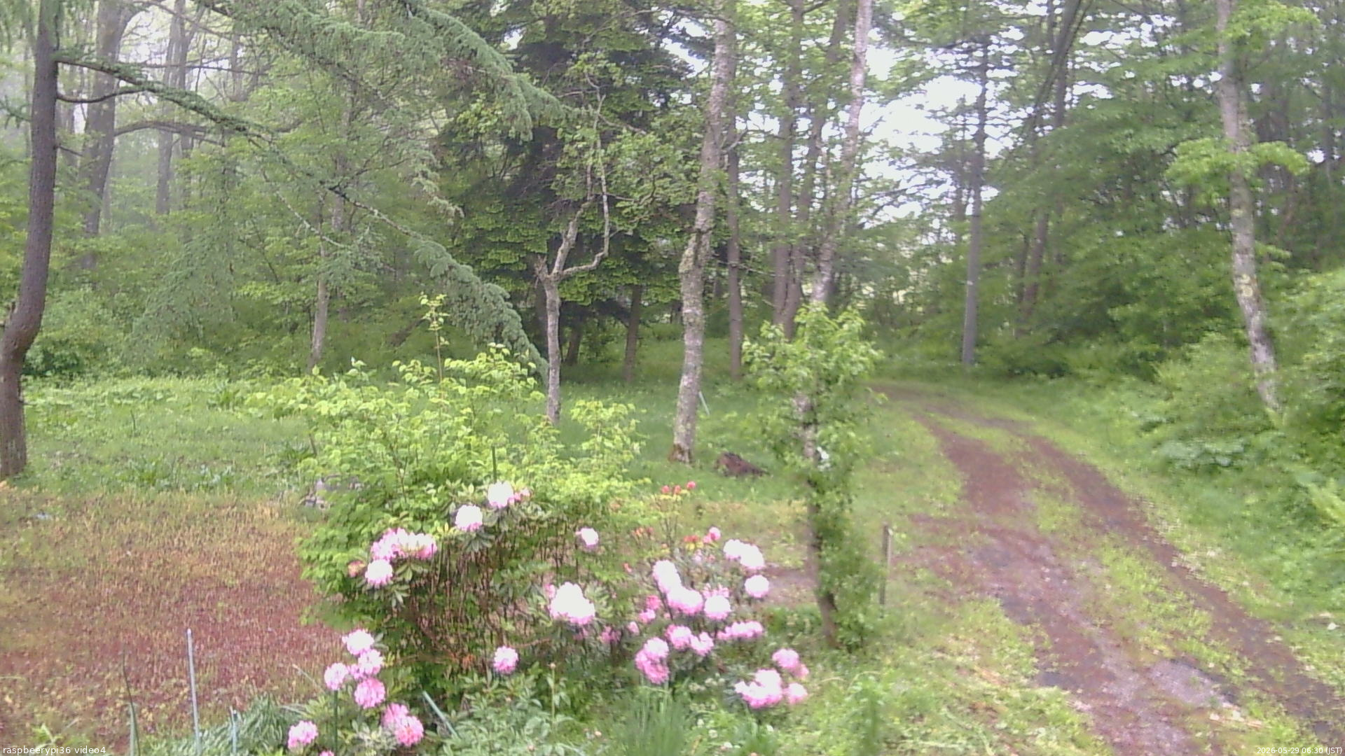 長野県菅平高原 ゆたか山荘 坂上 2026/05/29 06:30