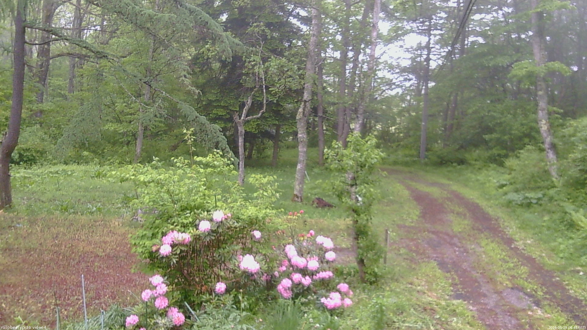 長野県菅平高原 ゆたか山荘 坂上 2026/05/29 06:45