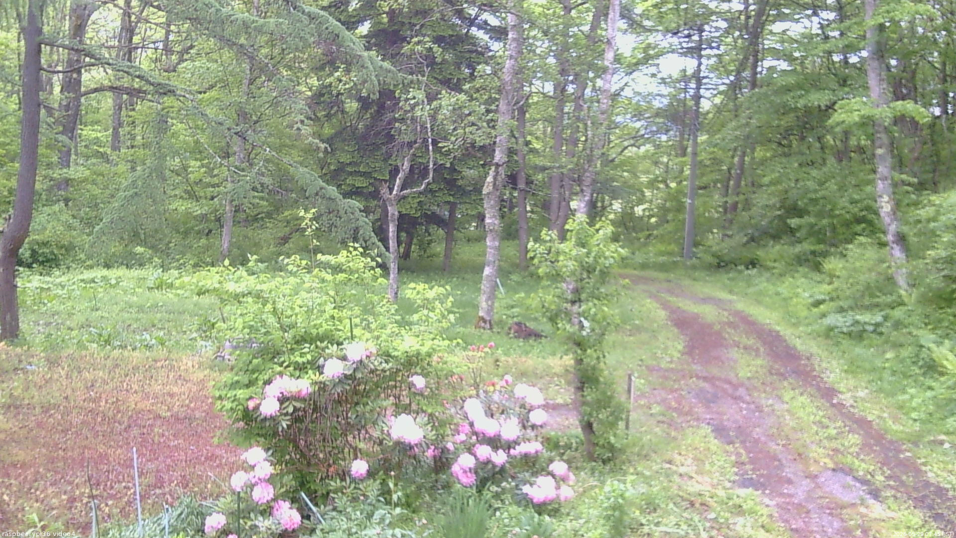 長野県菅平高原 ゆたか山荘 坂上 2026/05/29 07:45