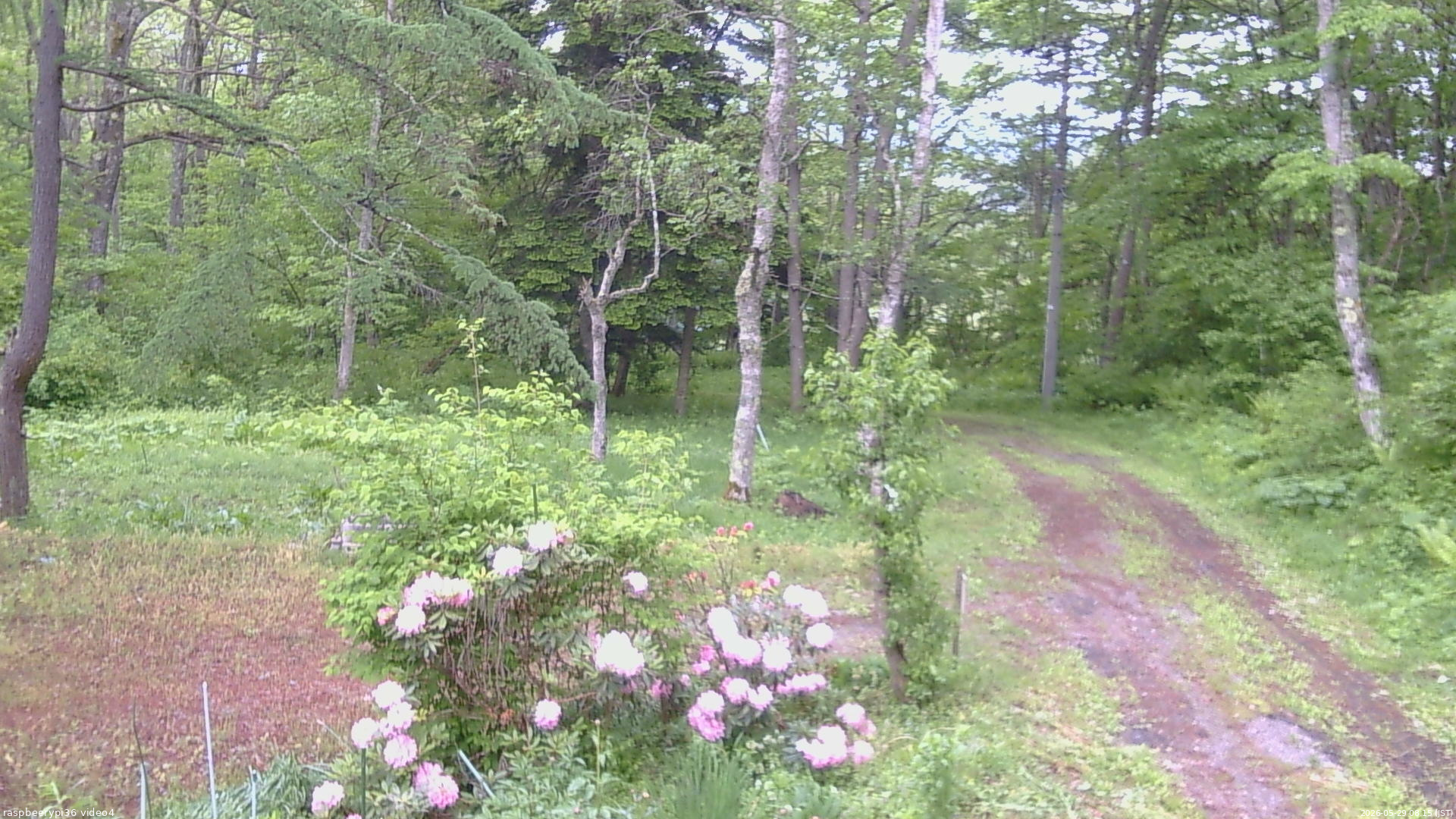 長野県菅平高原 ゆたか山荘 坂上 2026/05/29 08:15