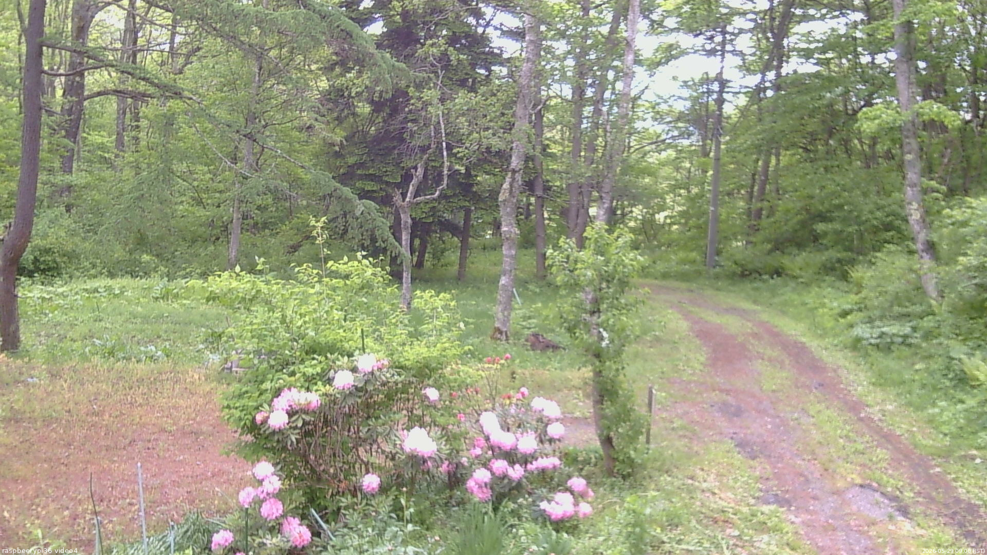 長野県菅平高原 ゆたか山荘 坂上 2026/05/29 09:00