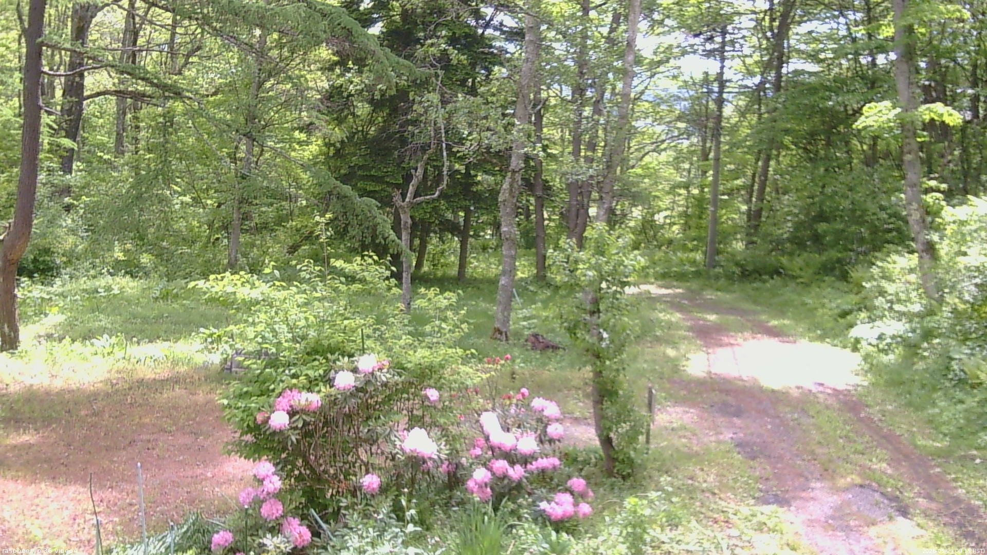 長野県菅平高原 ゆたか山荘 坂上 2026/05/29 09:15