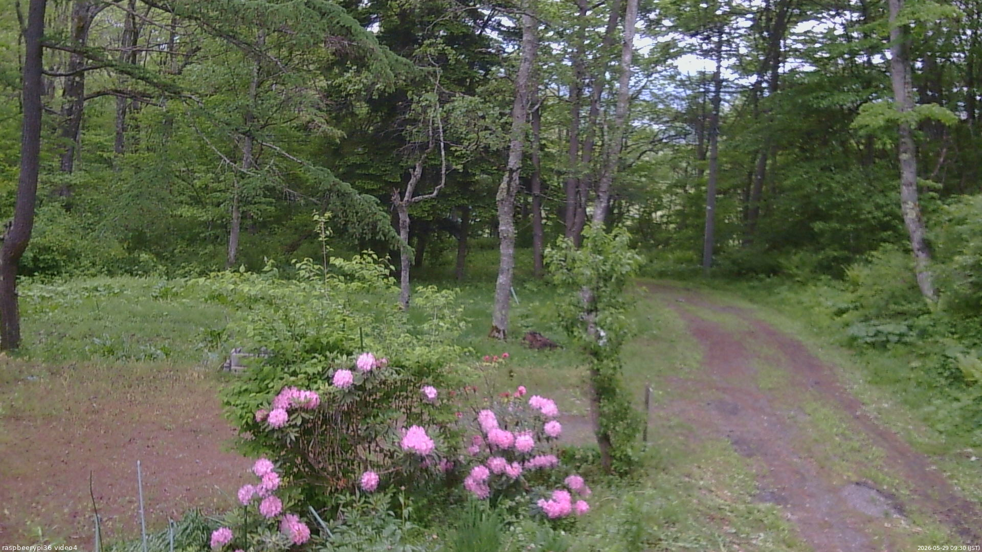 長野県菅平高原 ゆたか山荘 坂上 2026/05/29 09:30