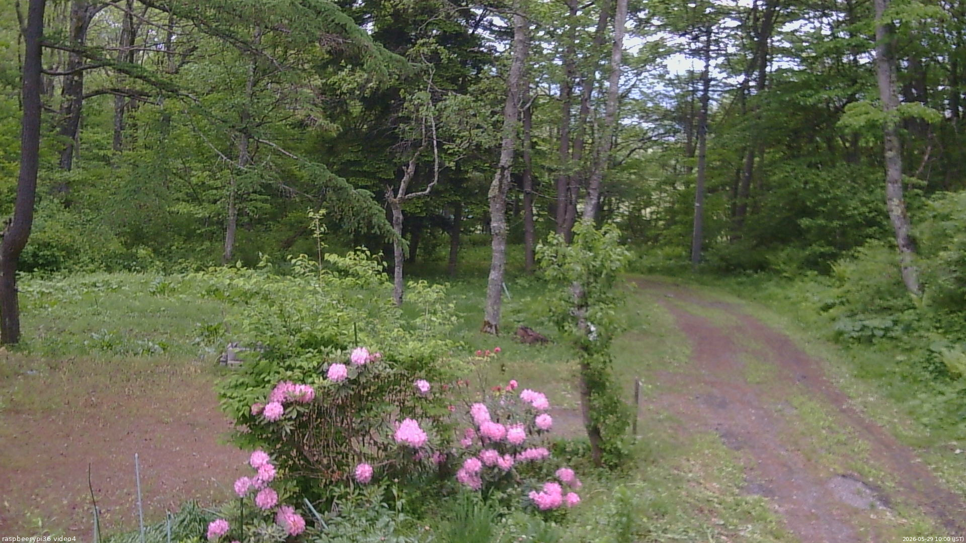 長野県菅平高原 ゆたか山荘 坂上 2026/05/29 10:00
