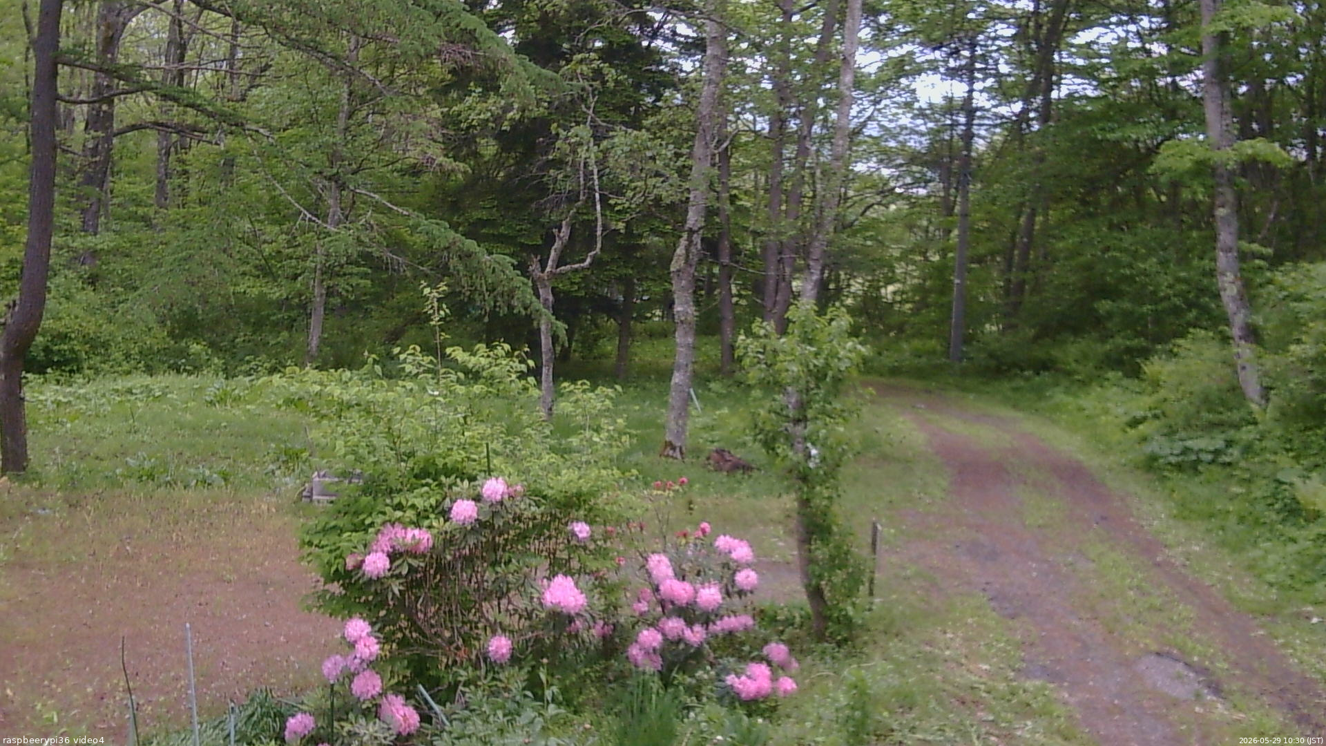 長野県菅平高原 ゆたか山荘 坂上 2026/05/29 10:30