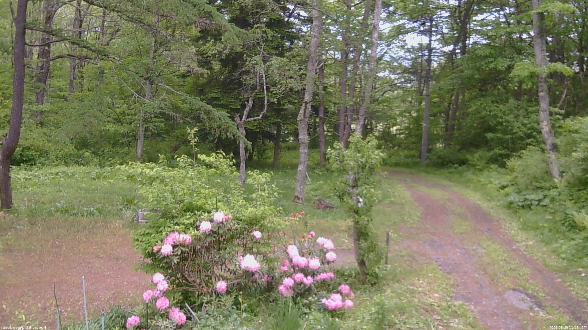 長野県菅平高原 ゆたか山荘 坂上 2026/05/29 11:15