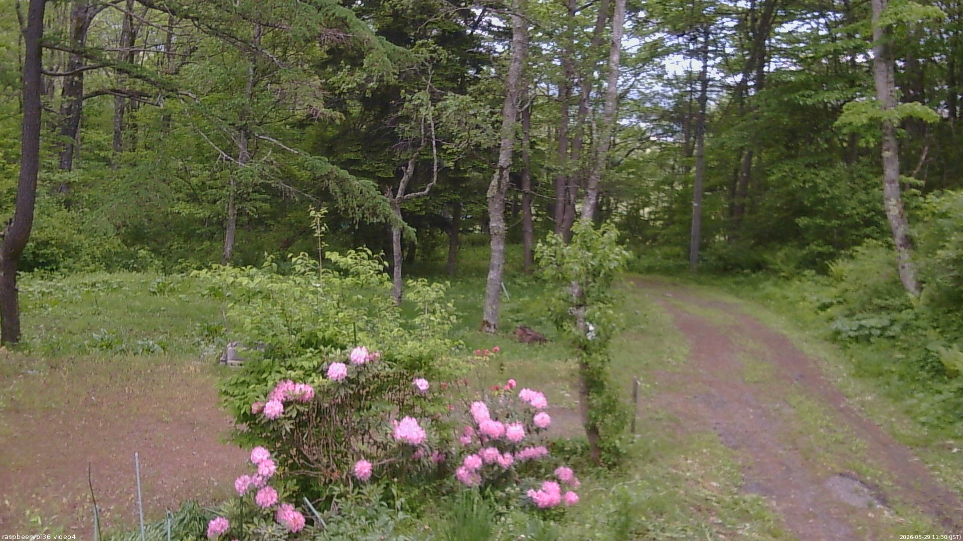 長野県菅平高原 ゆたか山荘 坂上 2026/05/29 11:30