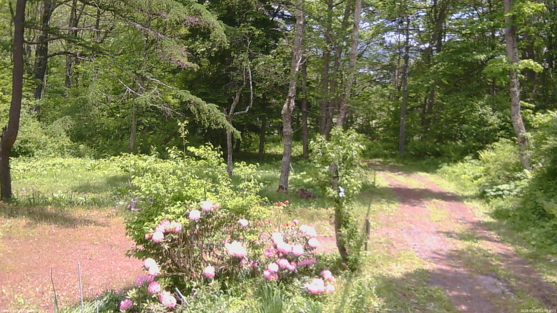 長野県菅平高原 ゆたか山荘 坂上 2026/05/29 11:45