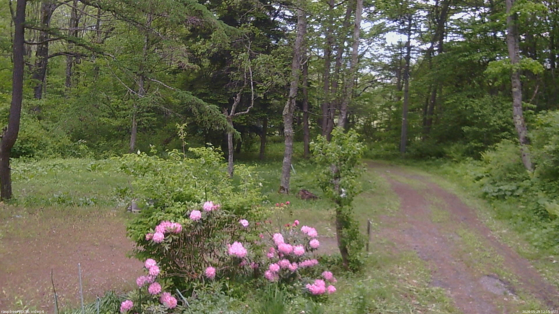 長野県菅平高原 ゆたか山荘 坂上 2026/05/29 12:15