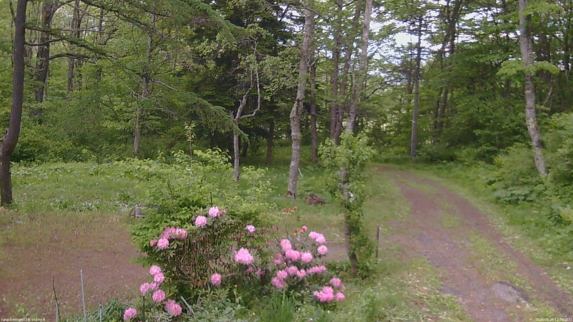 長野県菅平高原 ゆたか山荘 坂上 2026/05/29 12:30
