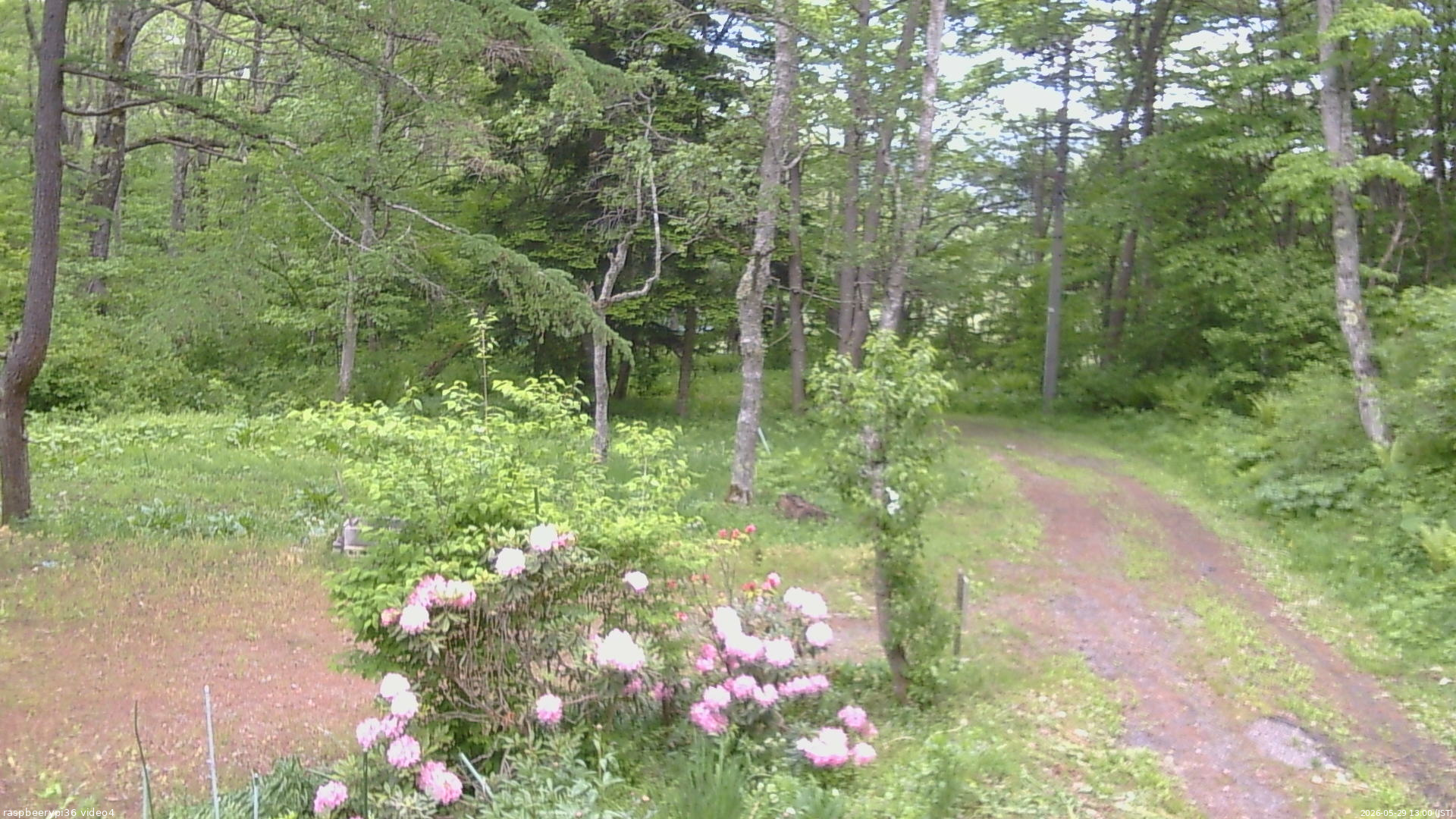 長野県菅平高原 ゆたか山荘 坂上 2026/05/29 13:00