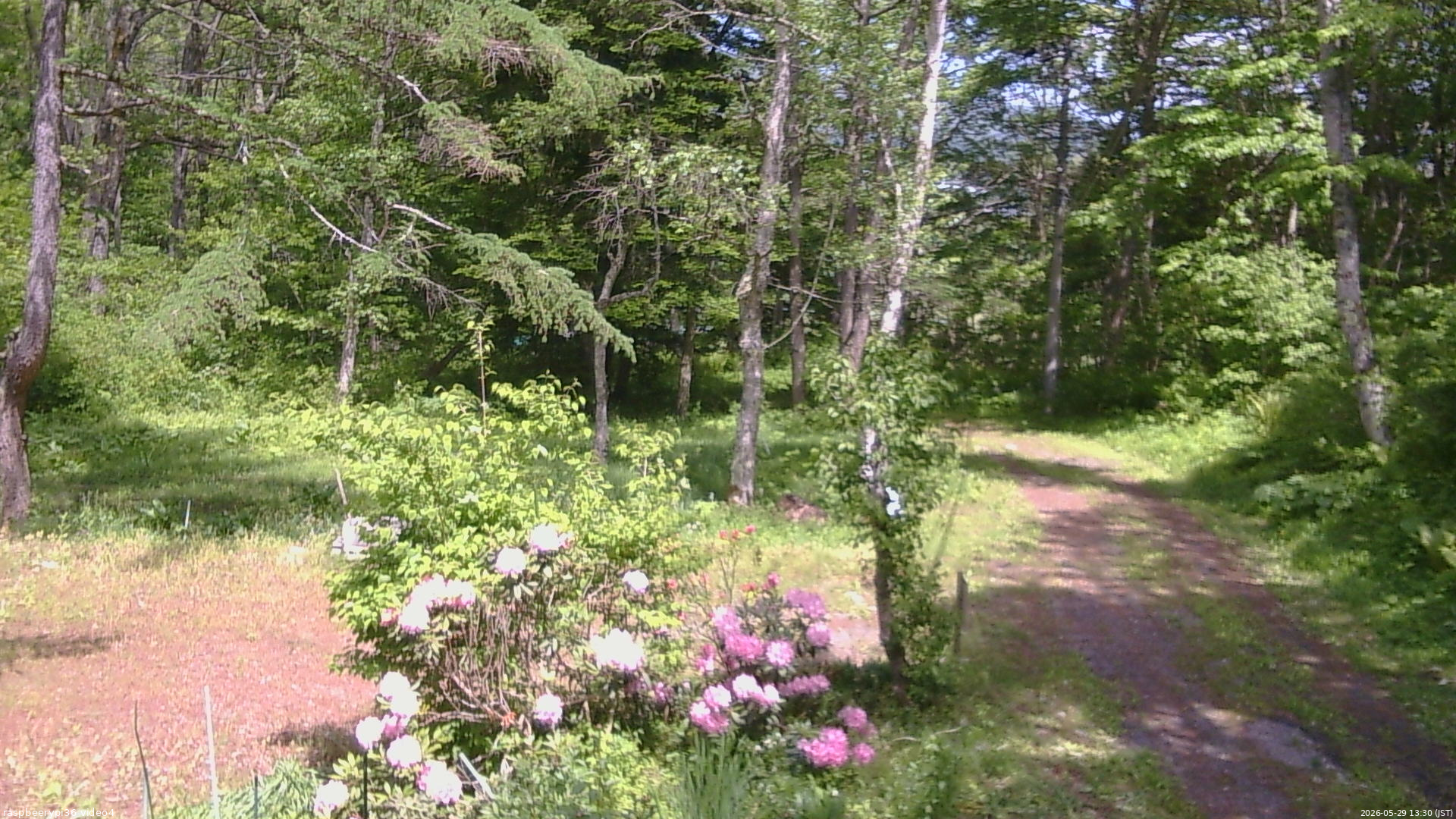 長野県菅平高原 ゆたか山荘 坂上 2026/05/29 13:30