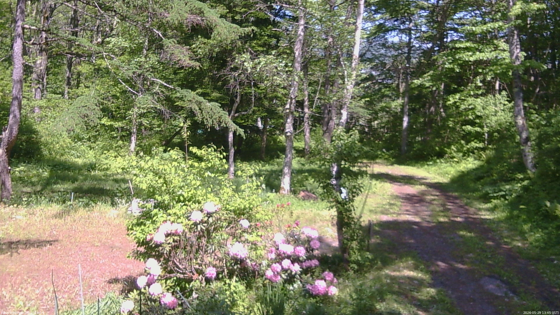 長野県菅平高原 ゆたか山荘 坂上 2026/05/29 13:45