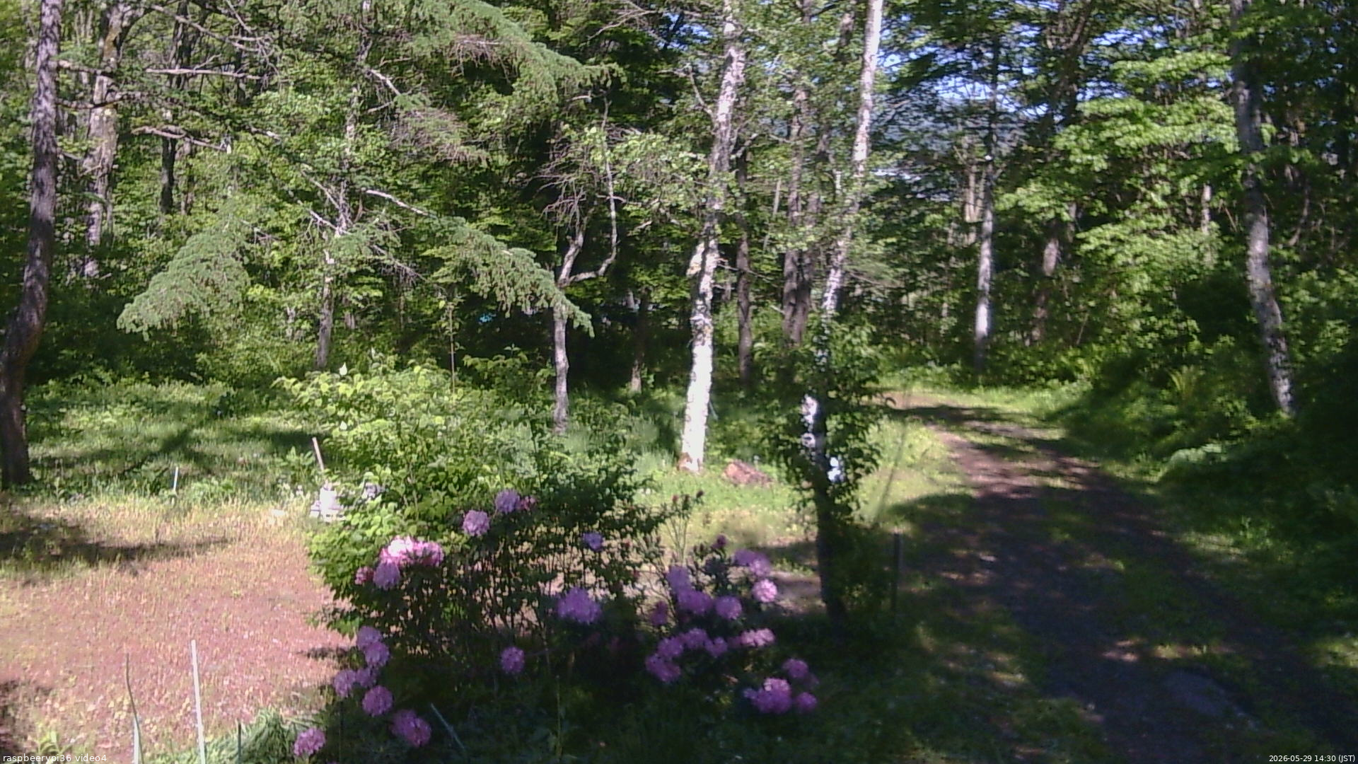 長野県菅平高原 ゆたか山荘 坂上 2026/05/29 14:30