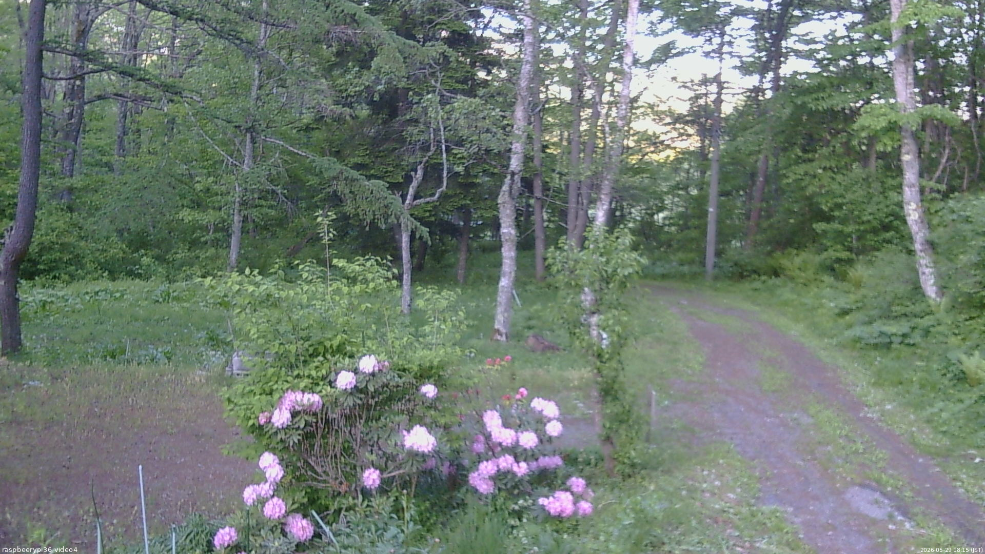 長野県菅平高原 ゆたか山荘 坂上 2026/05/29 18:15