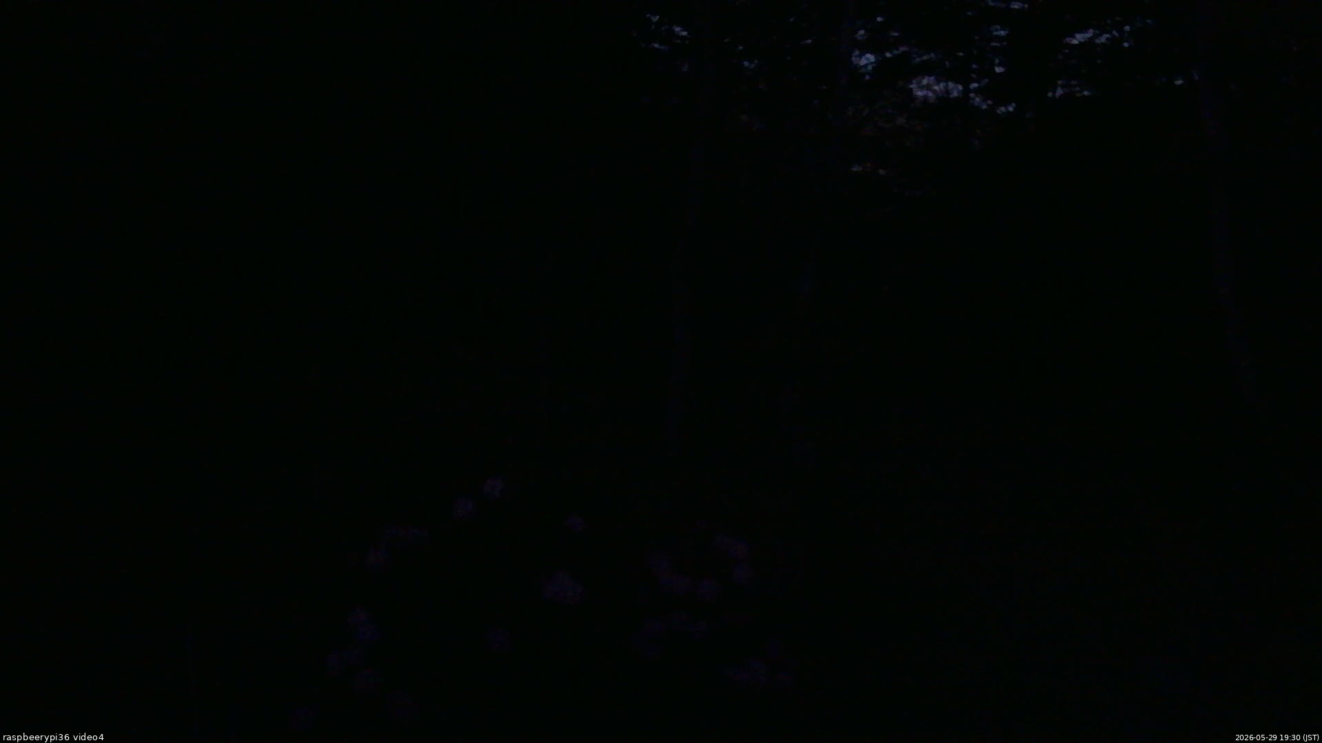 長野県菅平高原 ゆたか山荘 坂上 2026/05/29 19:30