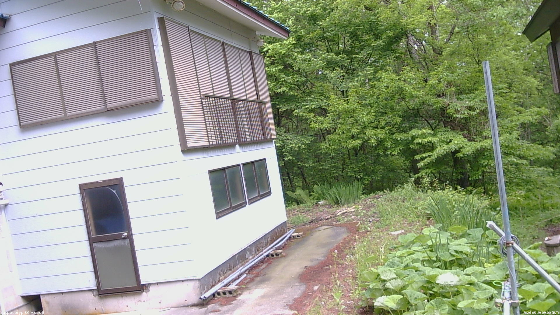 長野県菅平高原 ゆたか山荘 坂下 2026/05/29 09:00