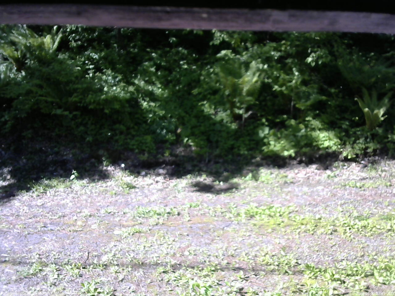 長野県菅平高原 ゆたか山荘 東側(坂下) 2026/05/30 07:45