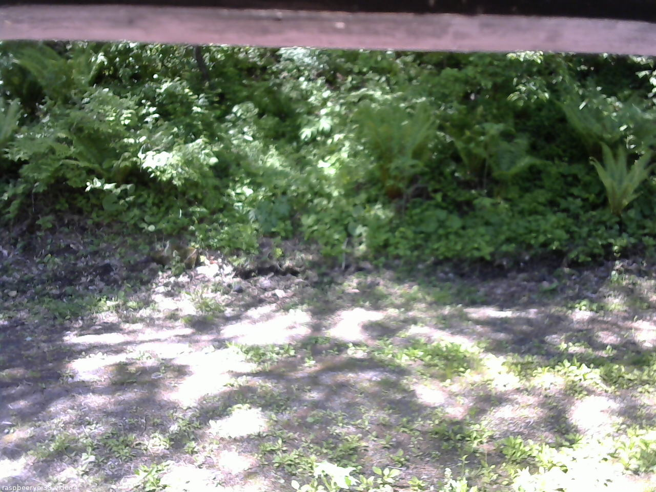 長野県菅平高原 ゆたか山荘 東側(坂下) 2026/05/30 09:15