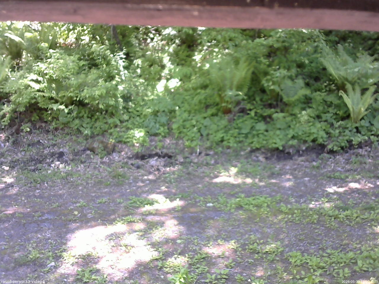 長野県菅平高原 ゆたか山荘 東側(坂下) 2026/05/30 12:00