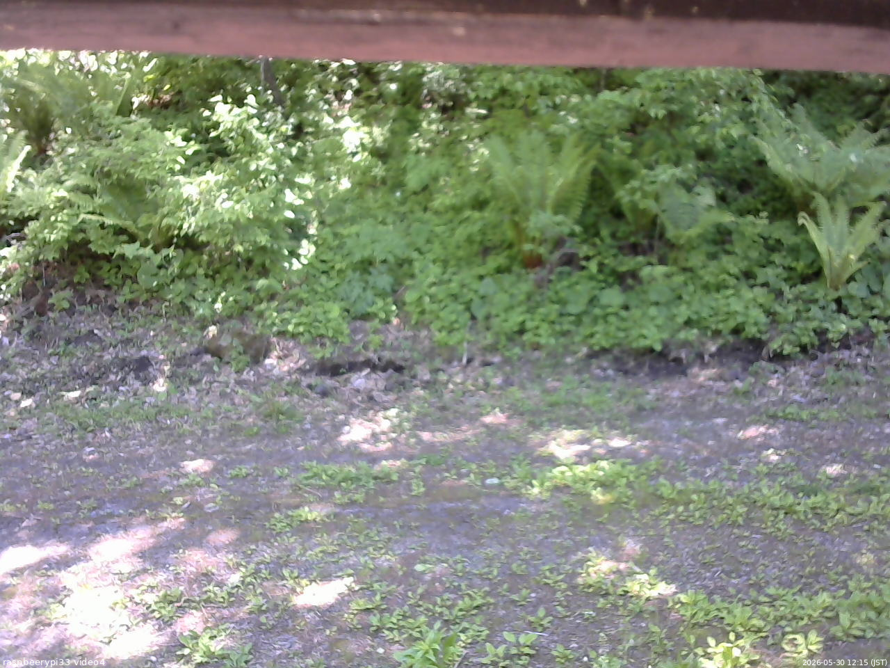 長野県菅平高原 ゆたか山荘 東側(坂下) 2026/05/30 12:15