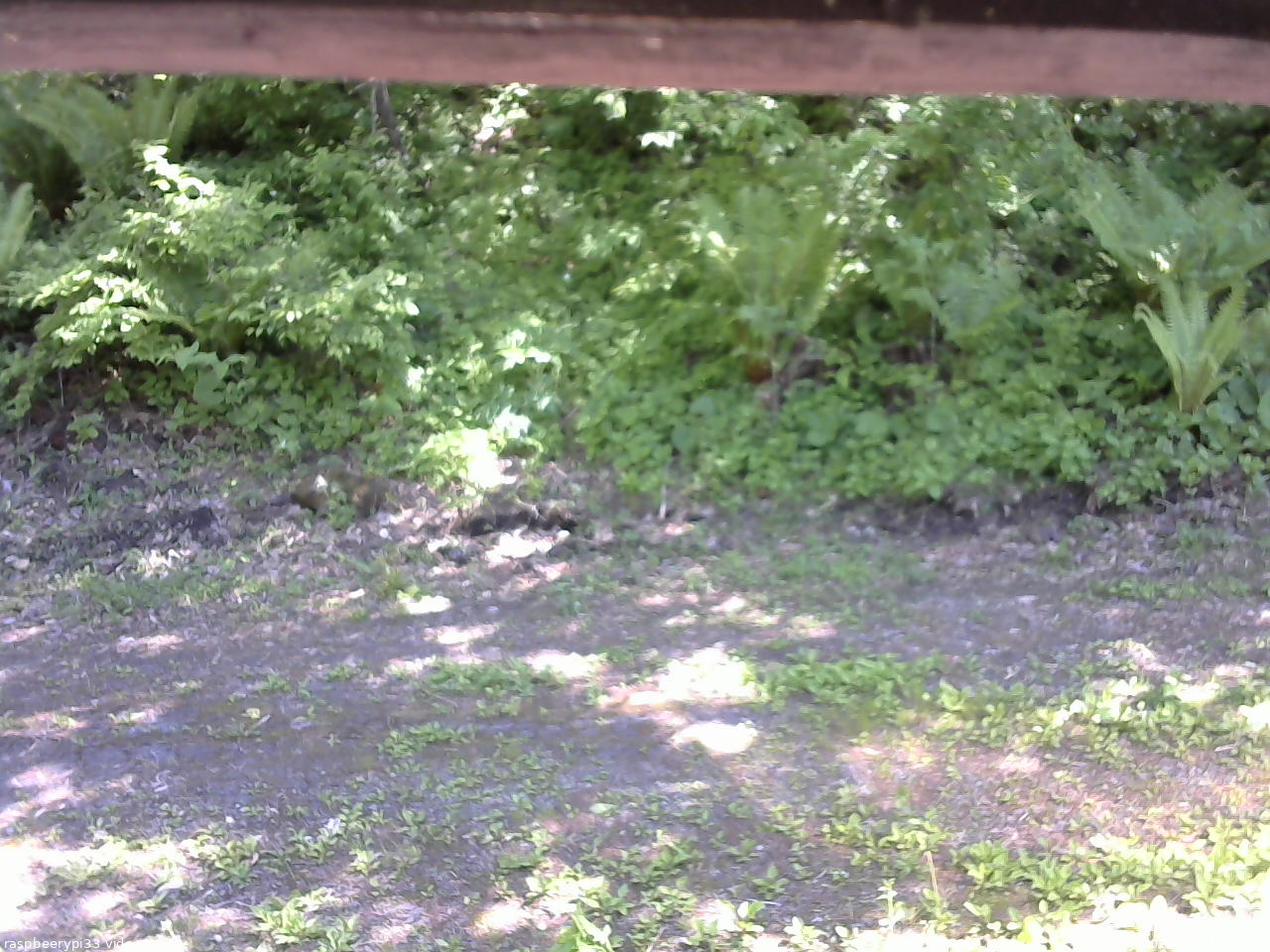 長野県菅平高原 ゆたか山荘 東側(坂下) 2026/05/30 13:45