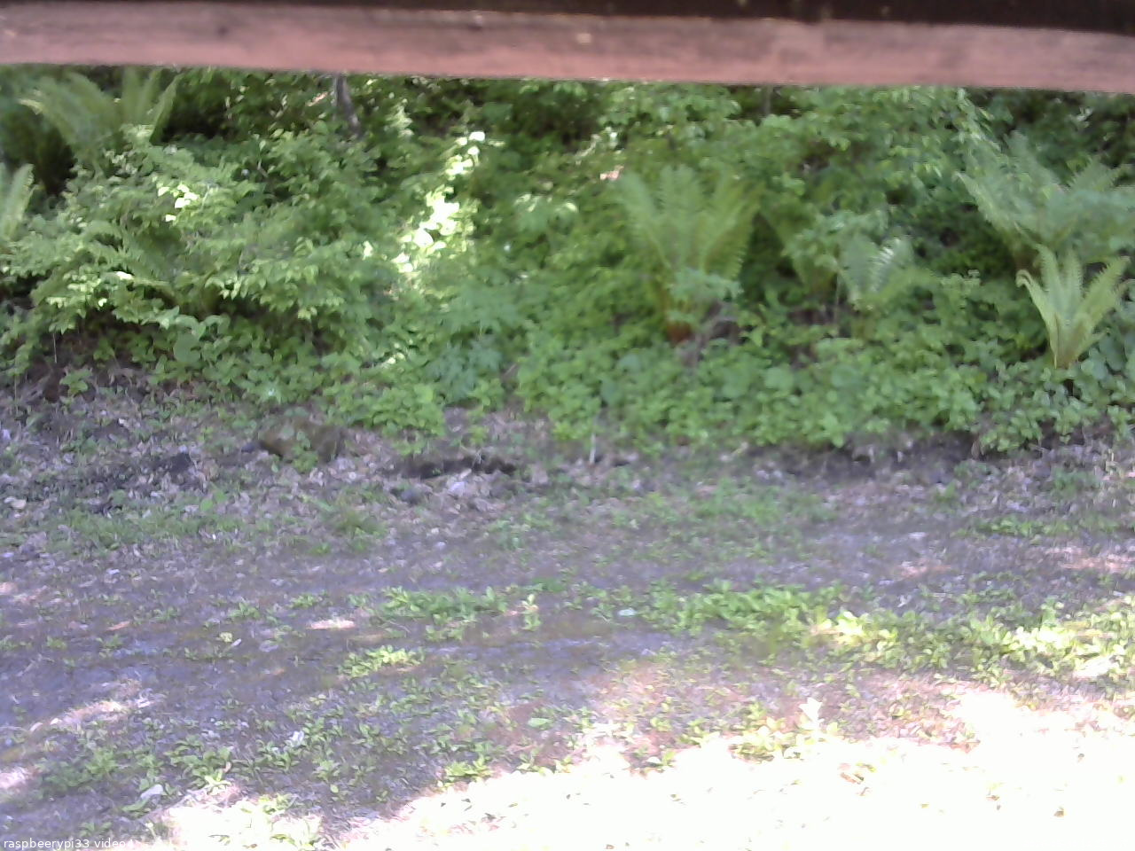 長野県菅平高原 ゆたか山荘 東側(坂下) 2026/05/30 14:15