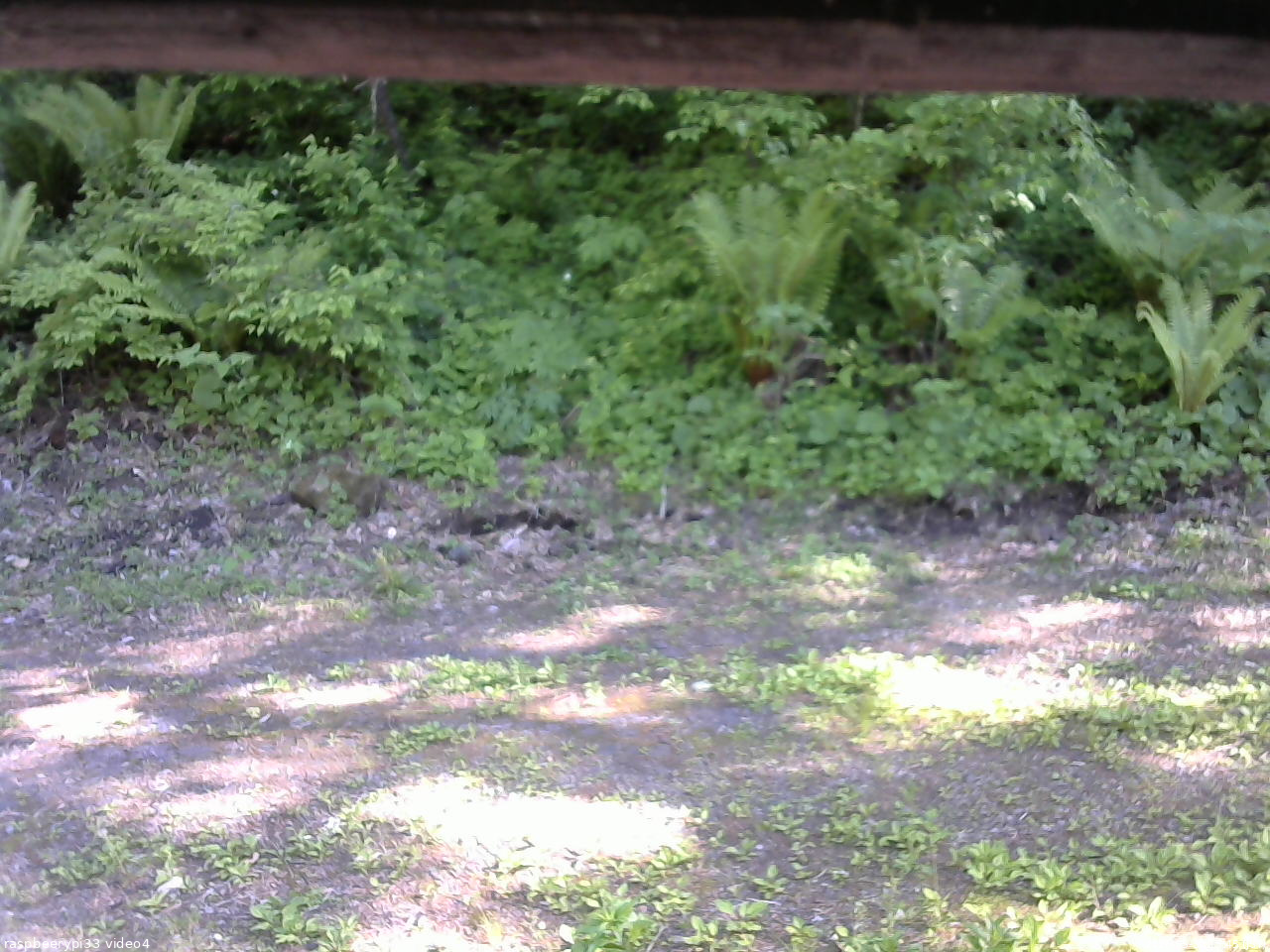 長野県菅平高原 ゆたか山荘 東側(坂下) 2026/05/30 15:45