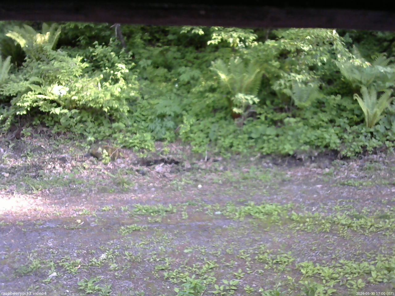 長野県菅平高原 ゆたか山荘 東側(坂下) 2026/05/30 17:00