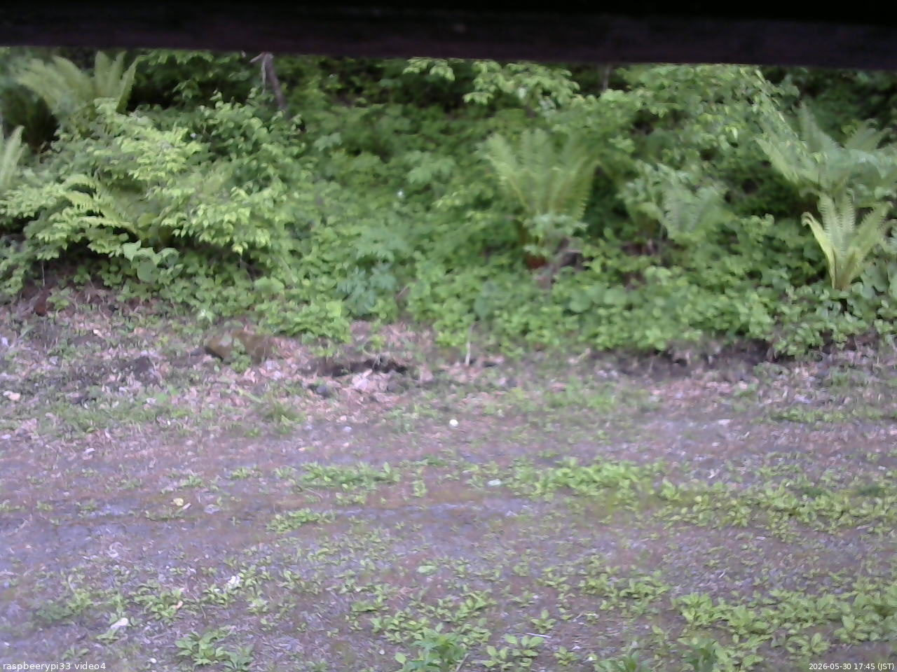 長野県菅平高原 ゆたか山荘 東側(坂下) 2026/05/30 17:45