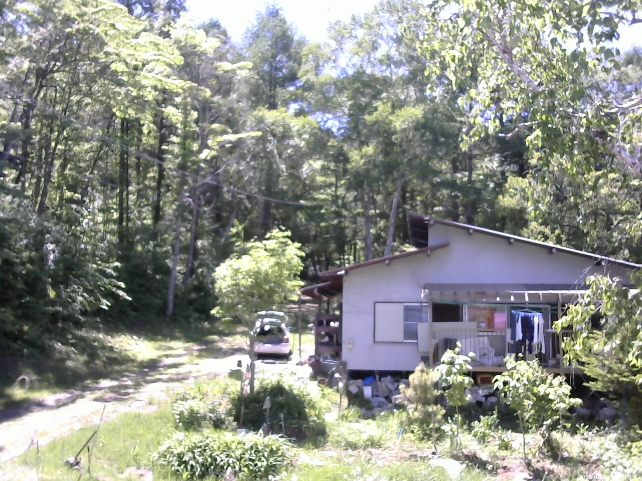 長野県菅平高原 ゆたか山荘 西側(坂上) 2026/05/30 13:15
