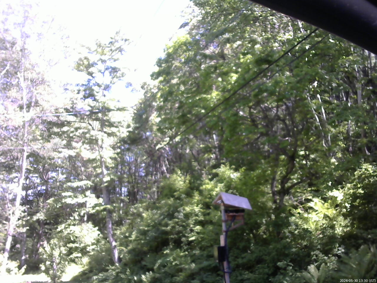 長野県菅平高原 ゆたか山荘 温度計 2026/05/30 13:30
