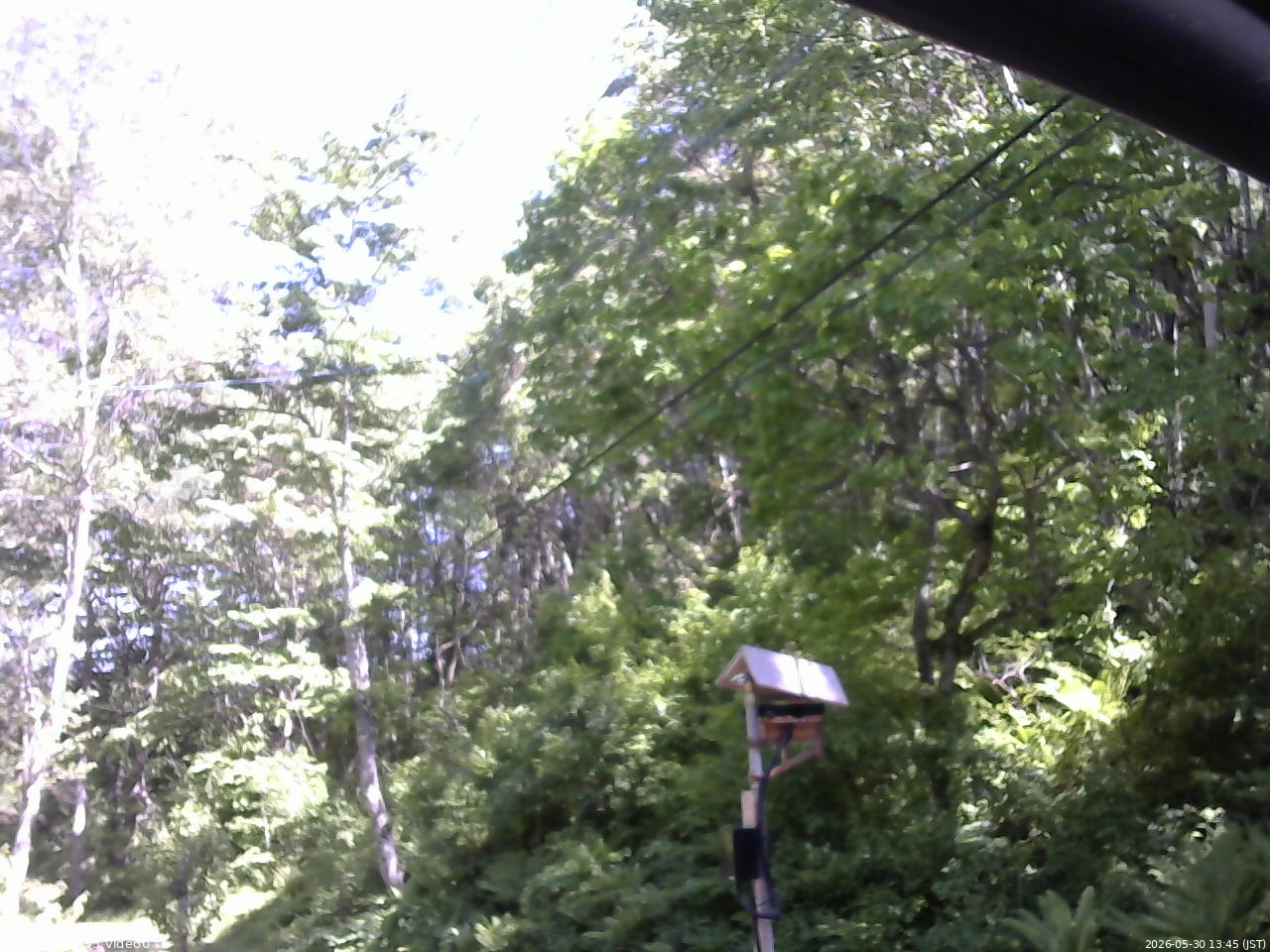 長野県菅平高原 ゆたか山荘 温度計 2026/05/30 13:45