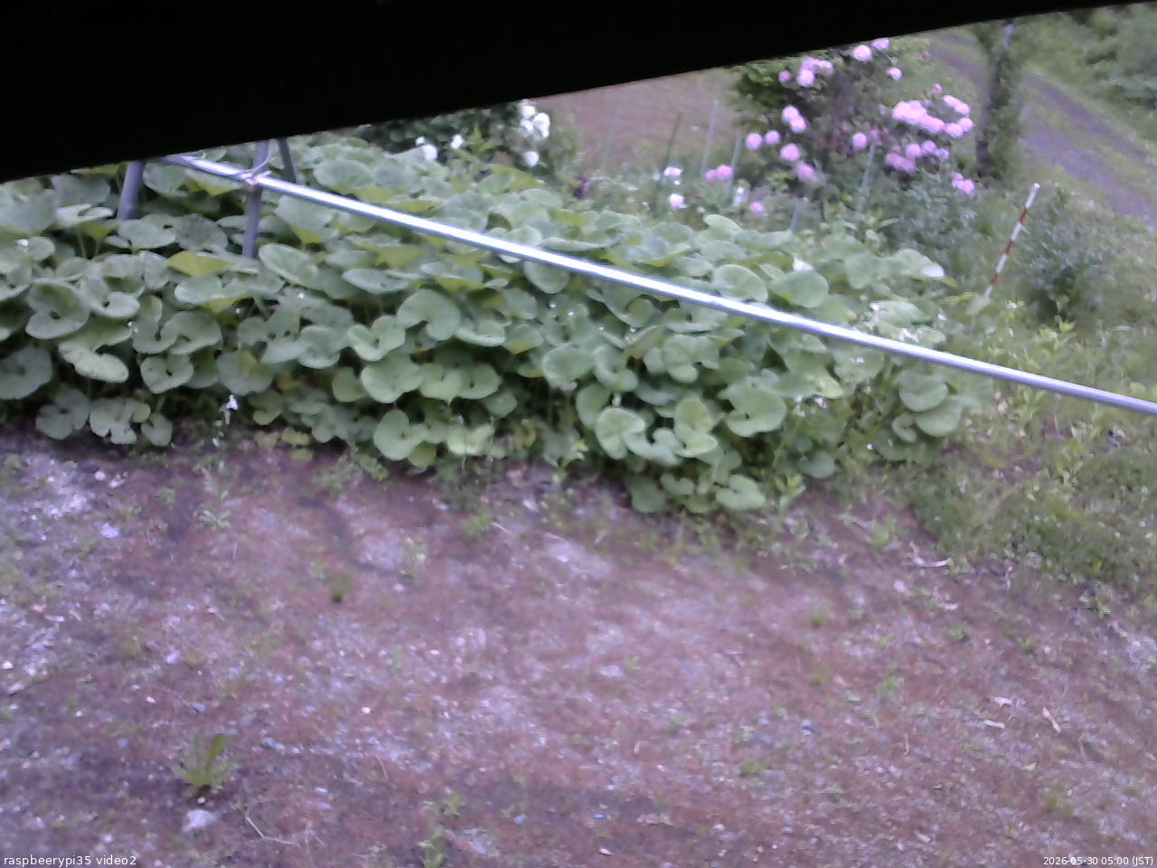 長野県菅平高原 ゆたか山荘 駐車場 2026/05/30 05:00