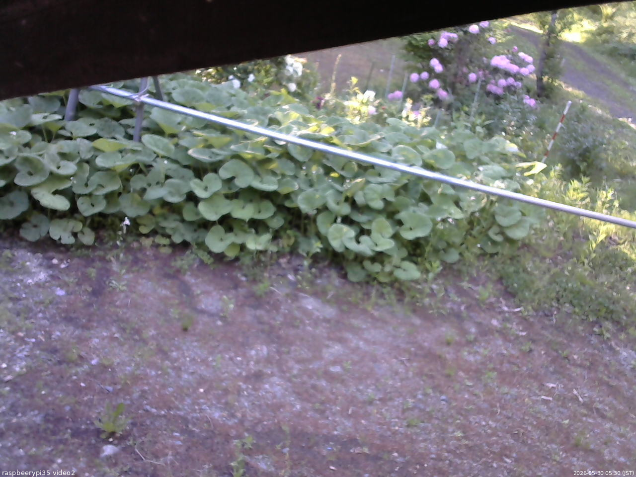 長野県菅平高原 ゆたか山荘 駐車場 2026/05/30 05:30