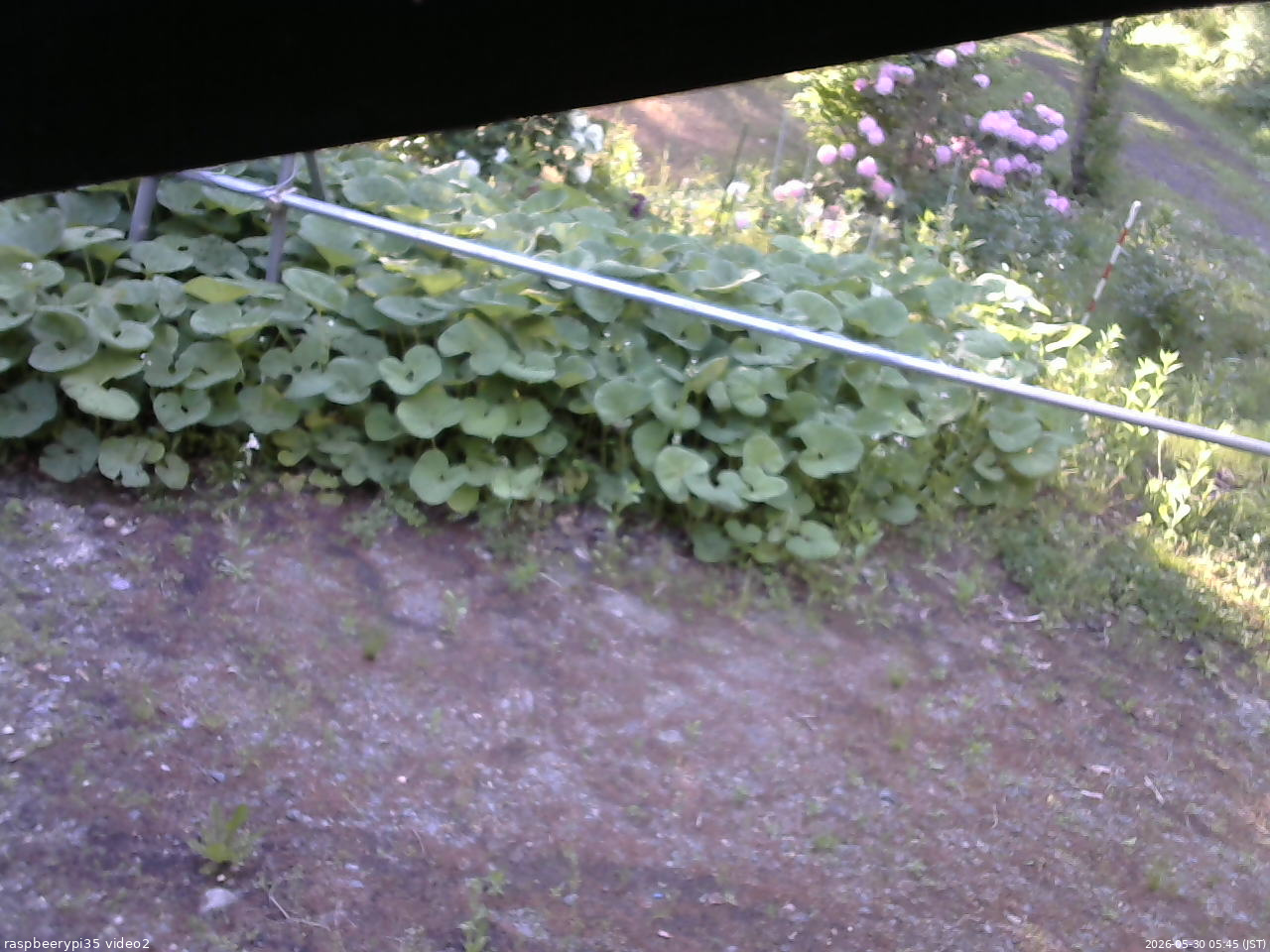長野県菅平高原 ゆたか山荘 駐車場 2026/05/30 05:45