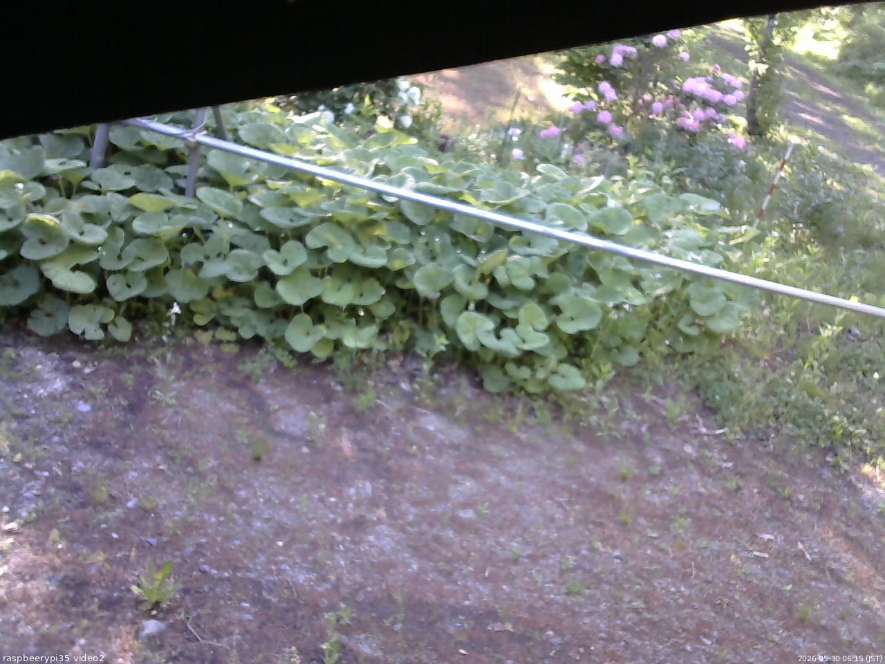 長野県菅平高原 ゆたか山荘 駐車場 2026/05/30 06:15