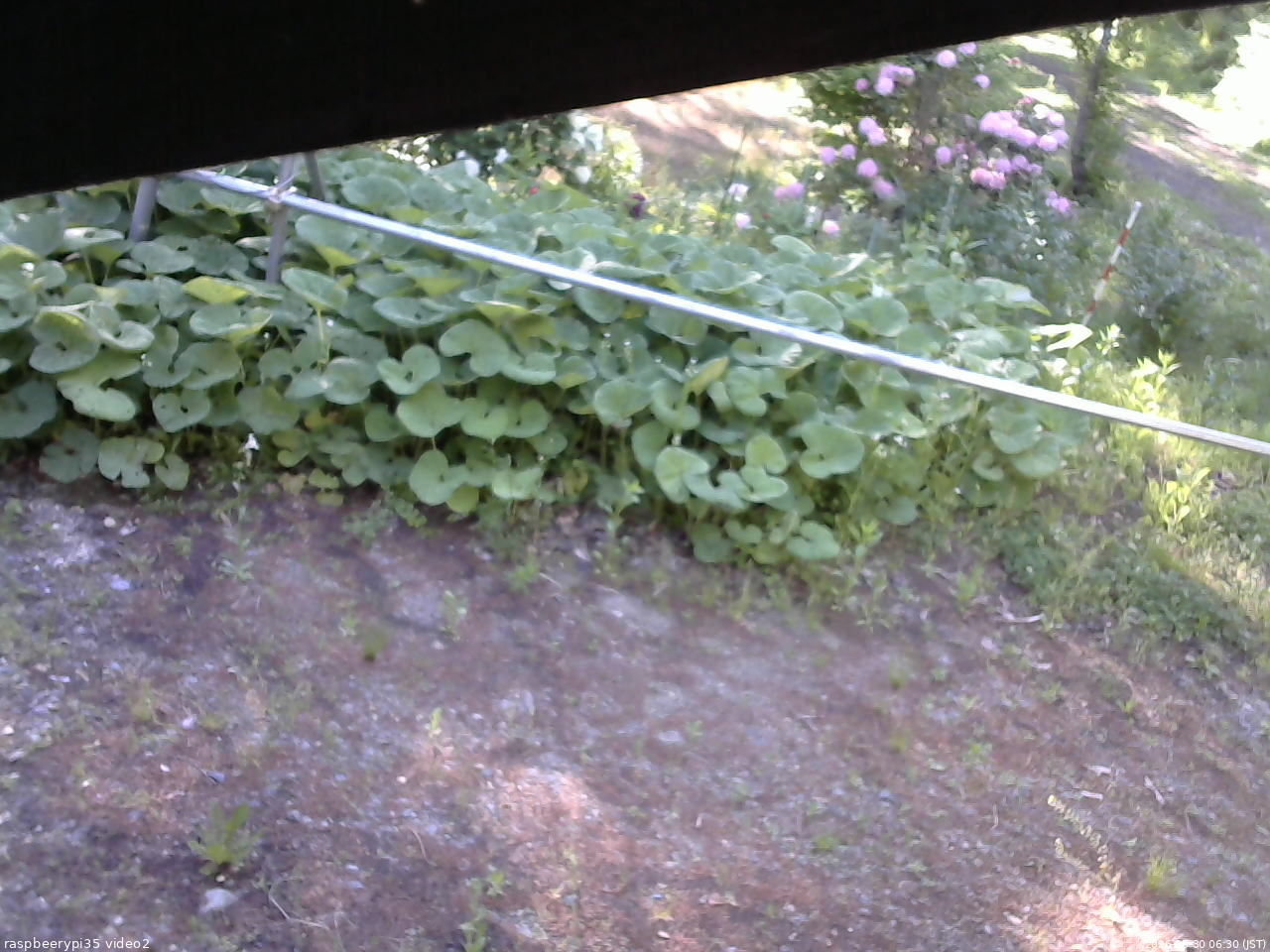 長野県菅平高原 ゆたか山荘 駐車場 2026/05/30 06:30