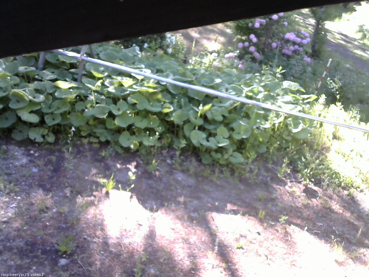 長野県菅平高原 ゆたか山荘 駐車場 2026/05/30 06:45