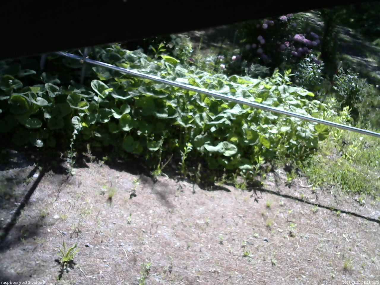 長野県菅平高原 ゆたか山荘 駐車場 2026/05/30 08:15