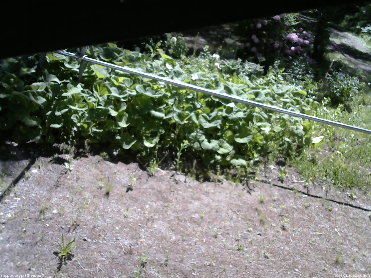 長野県菅平高原 ゆたか山荘 駐車場 2026/05/30 08:45