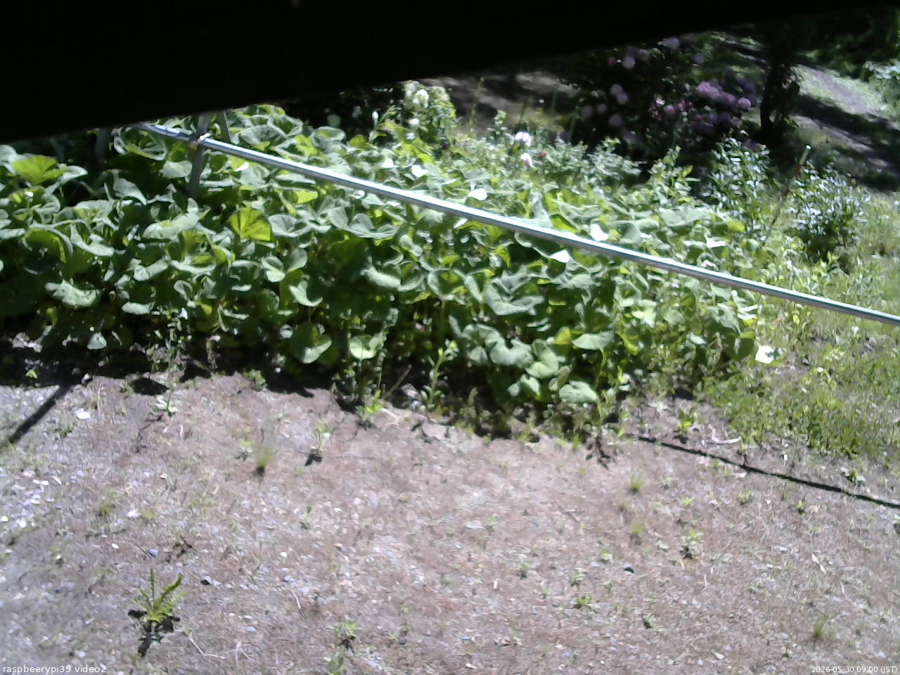 長野県菅平高原 ゆたか山荘 駐車場 2026/05/30 09:00