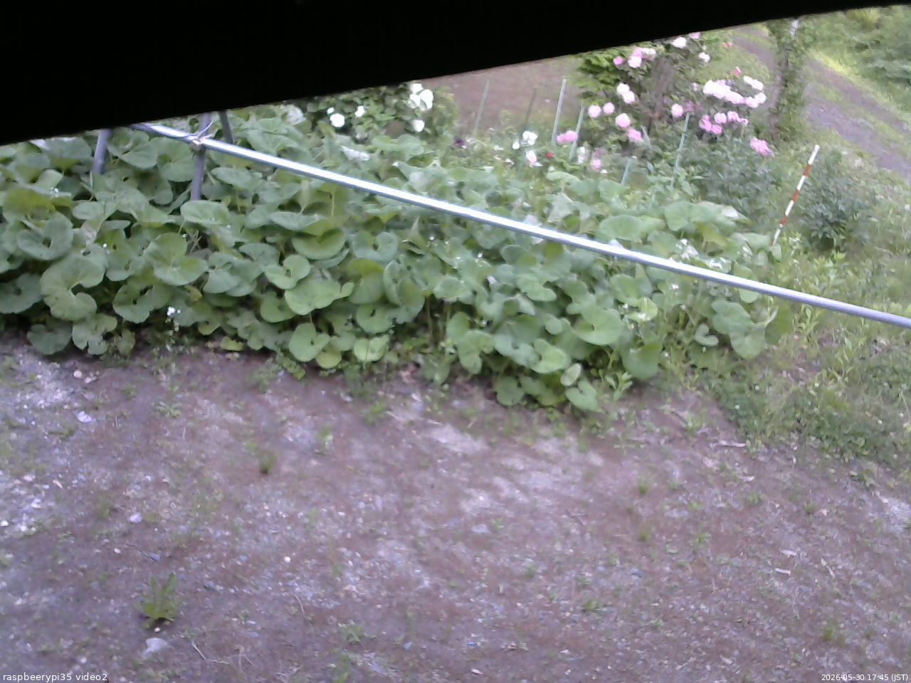 長野県菅平高原 ゆたか山荘 駐車場 2026/05/30 17:45