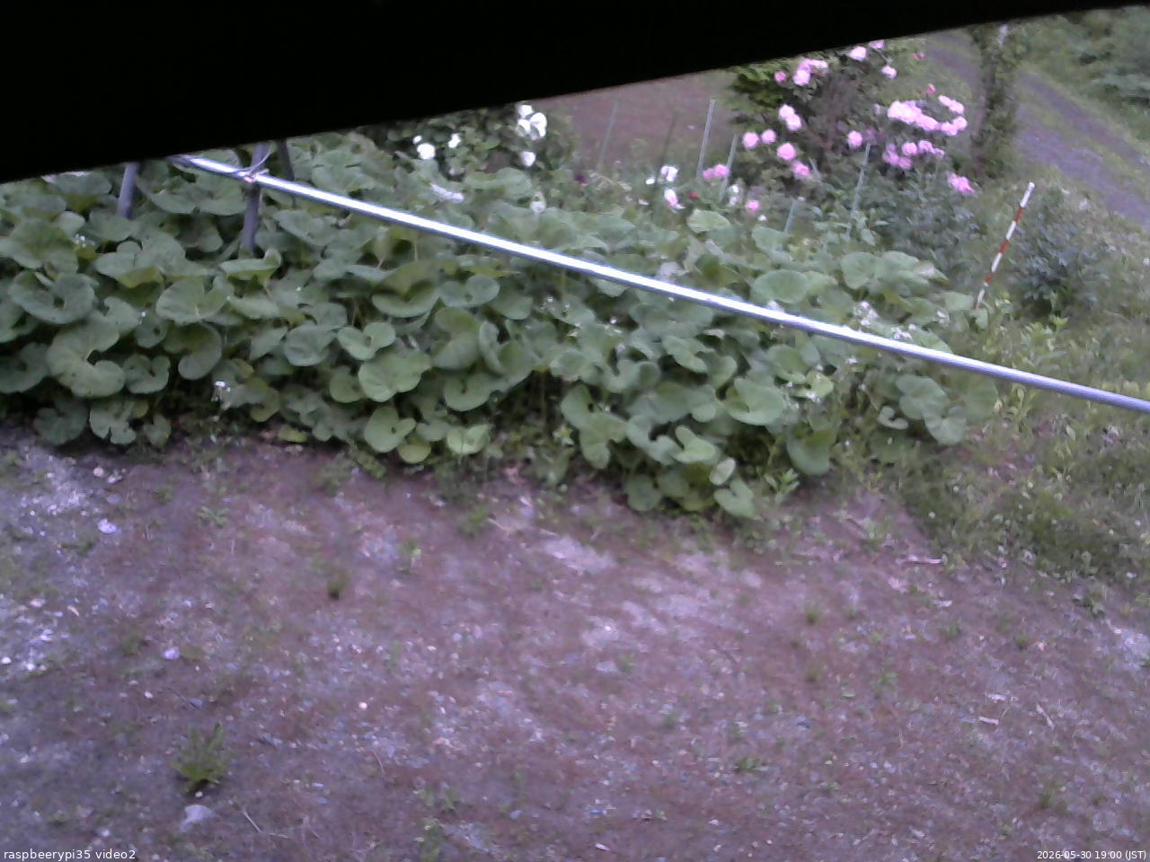 長野県菅平高原 ゆたか山荘 駐車場 2026/05/30 19:00
