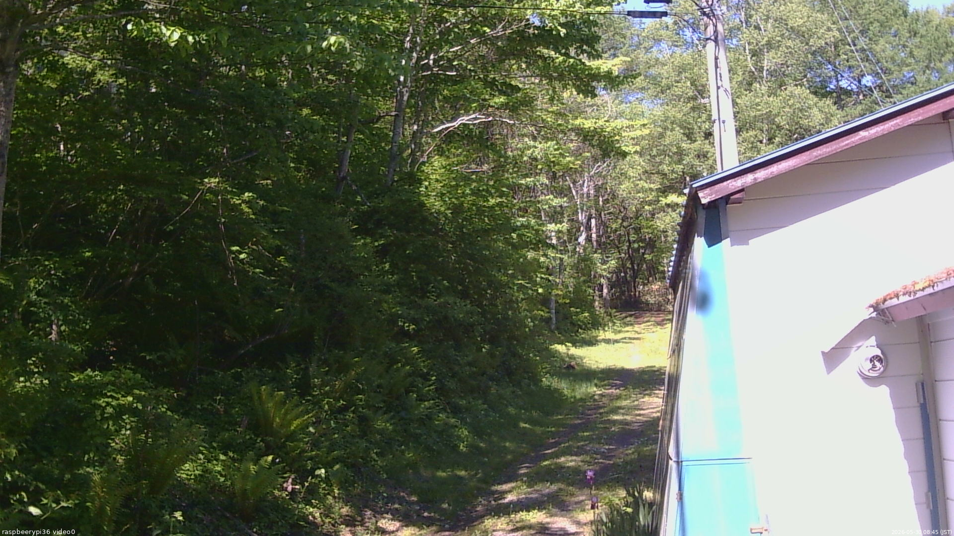 長野県菅平高原 ゆたか山荘 ゆたか山荘 2026/05/30 08:45