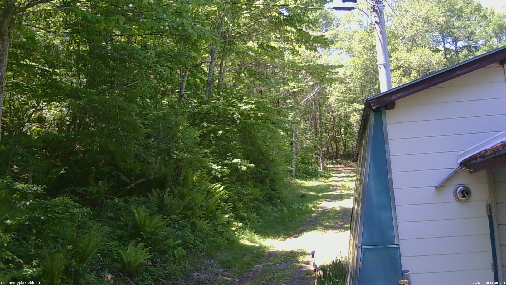 長野県菅平高原 ゆたか山荘 ゆたか山荘 2026/05/30 11:30
